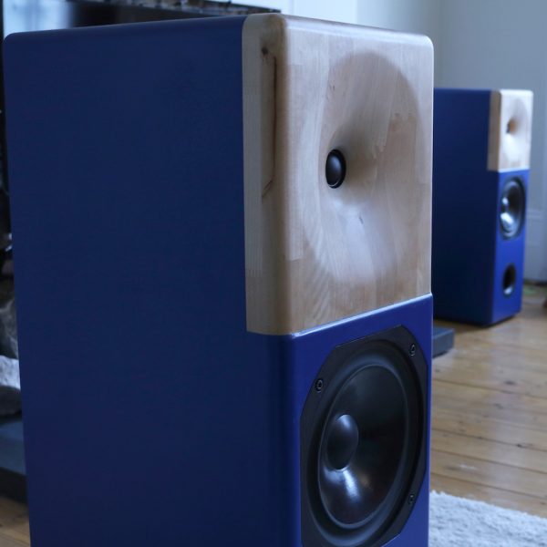Floorstanding speakers (blue)